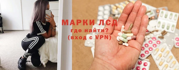 ГАЛЛЮЦИНОГЕННЫЕ ГРИБЫ Богданович