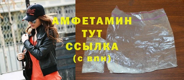 ГАЛЛЮЦИНОГЕННЫЕ ГРИБЫ Богданович