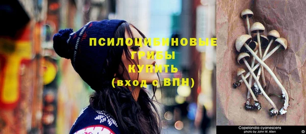 шишки Бронницы