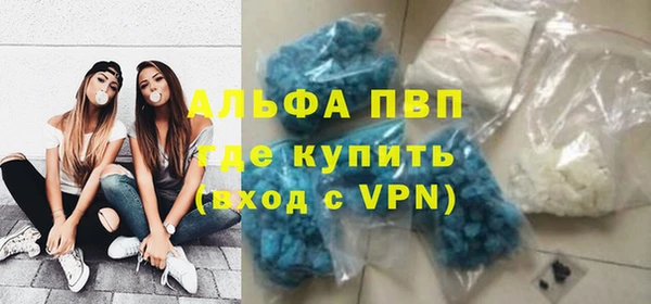 ГАЛЛЮЦИНОГЕННЫЕ ГРИБЫ Богданович